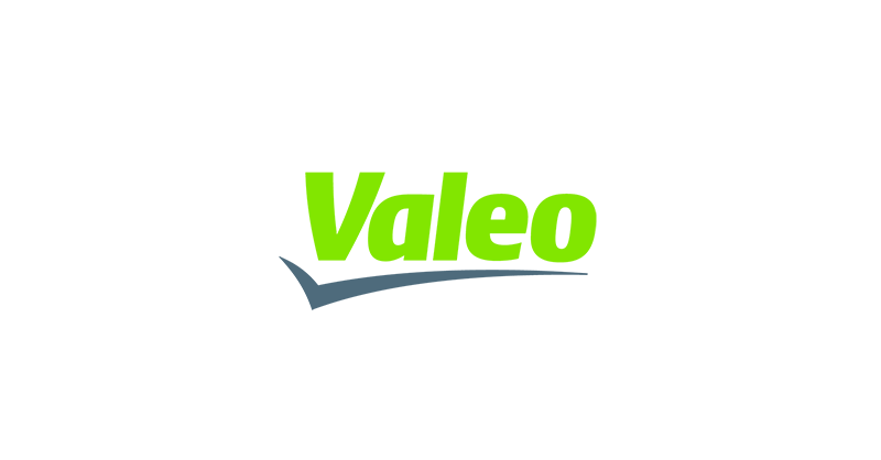 Valeo – client of SK Associates